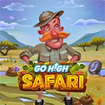 Go High Safari